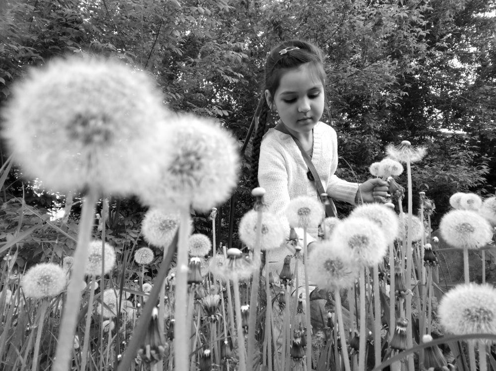 Photograph by Виктория Аксючиц