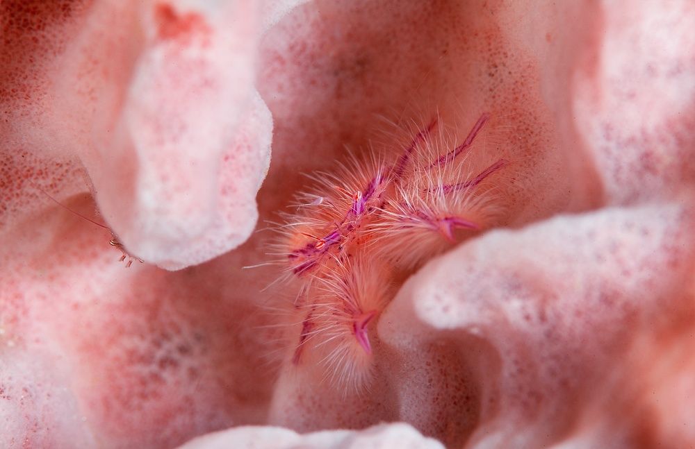 Фотография автора Нарчук Андрей