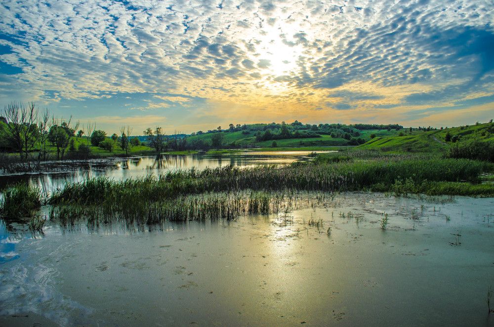 Фотография автора Irina Vornacheva