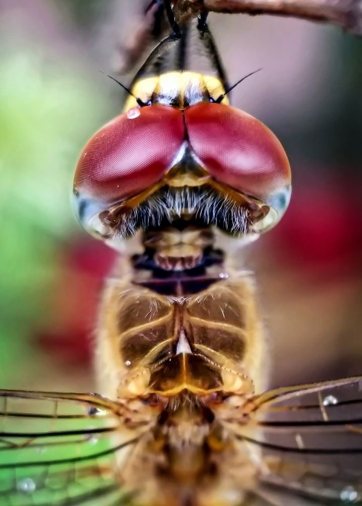 Photograph by Utkarsh Sinha