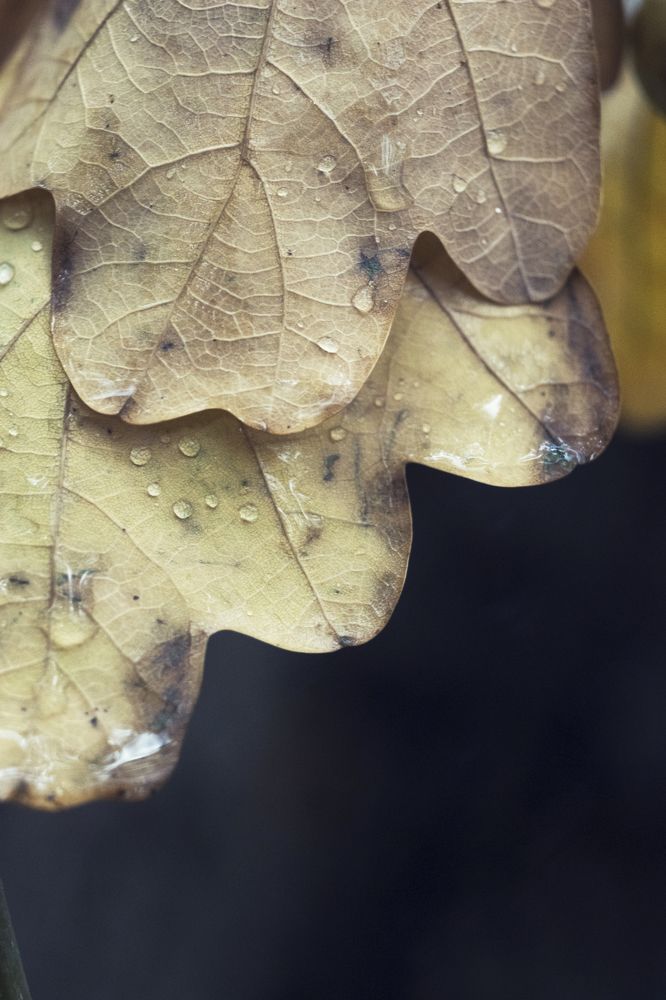 Photograph by Николай Марков