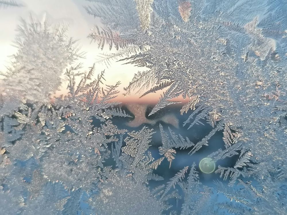 Кружева природы