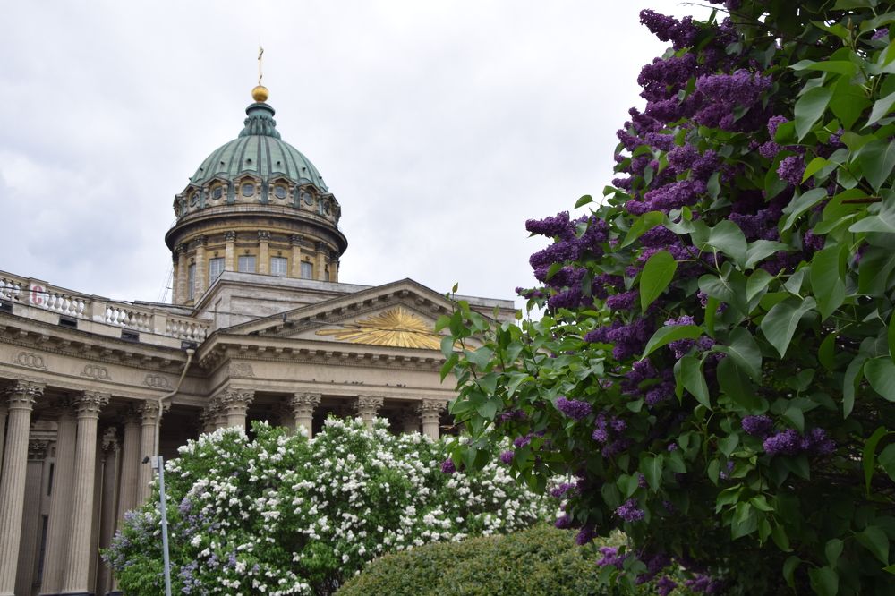 Photograph by Владимир Гордиенко