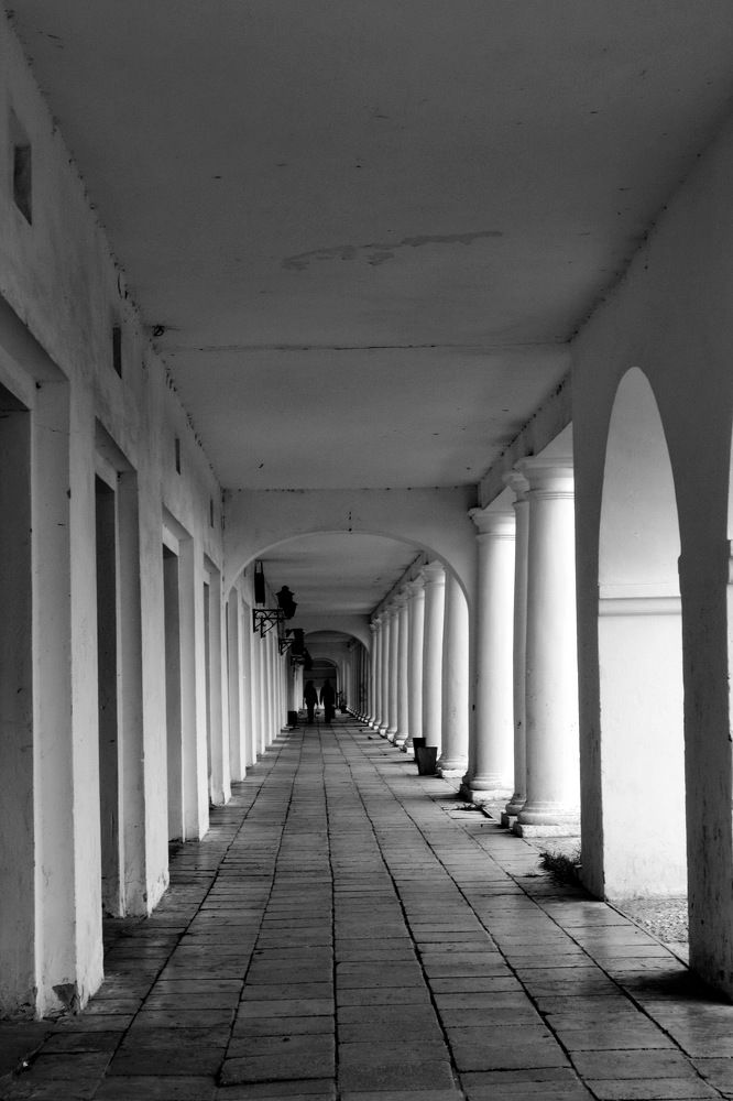 Photograph by Константин Лагоденко