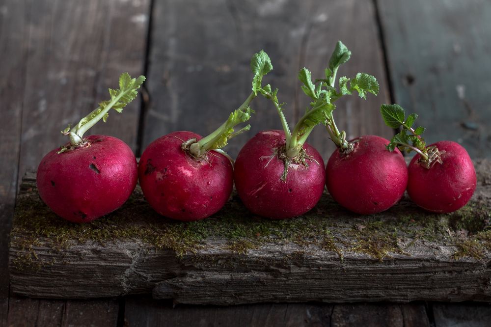 Натюрморт с редиской.