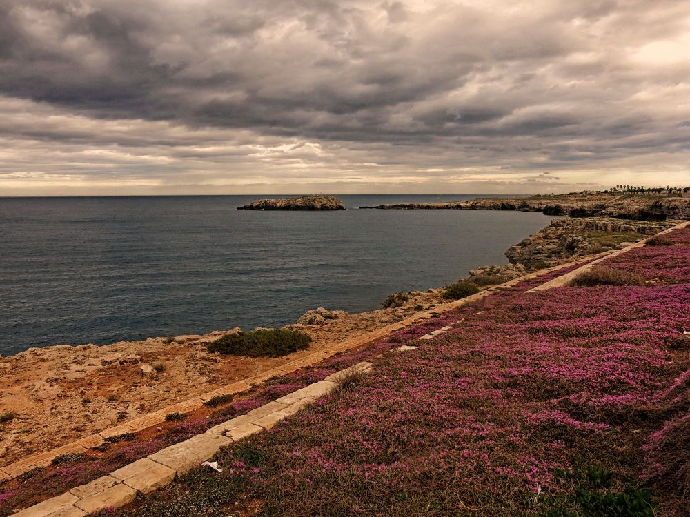 Photograph by Viviana García