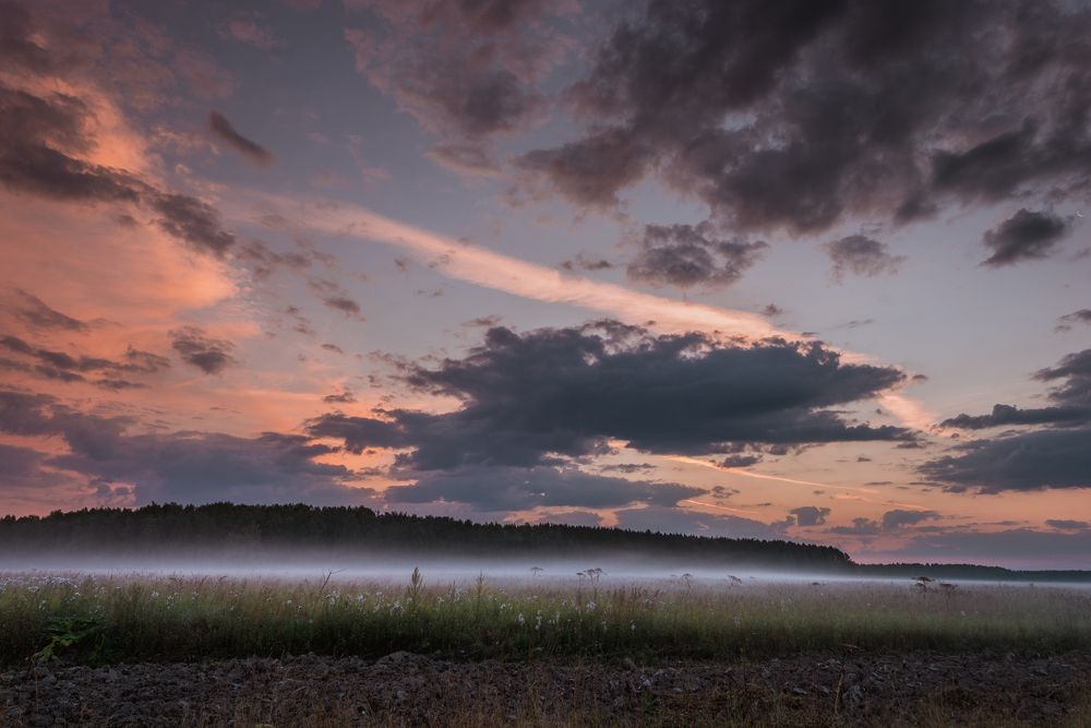 Photograph by Анна Никольская