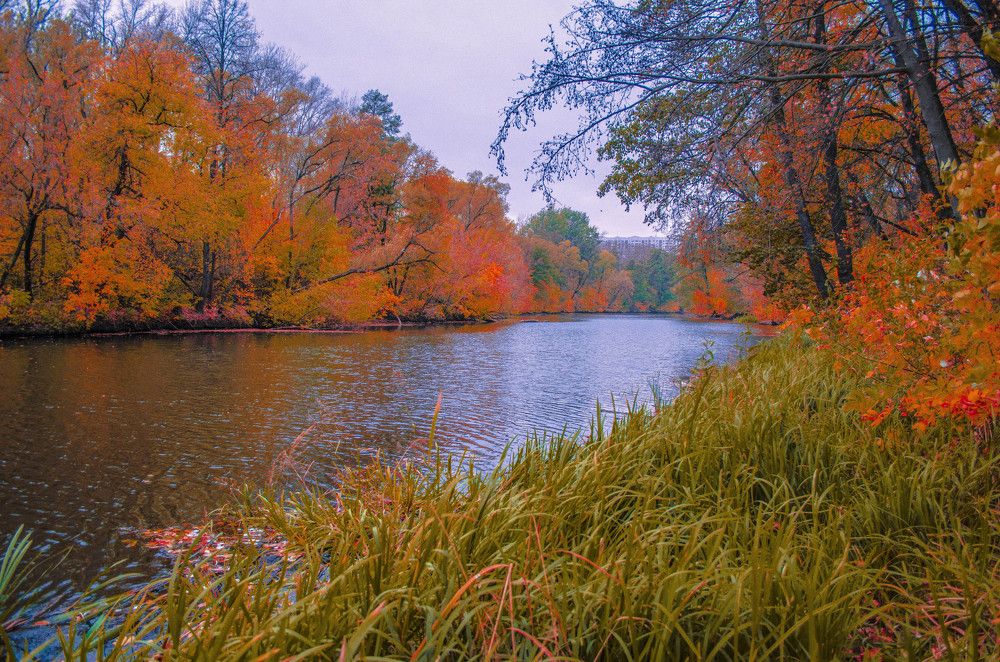 Фотография автора Irina Vornacheva