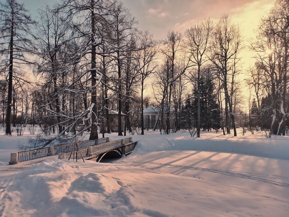 Photograph by Ольга Сизонюк