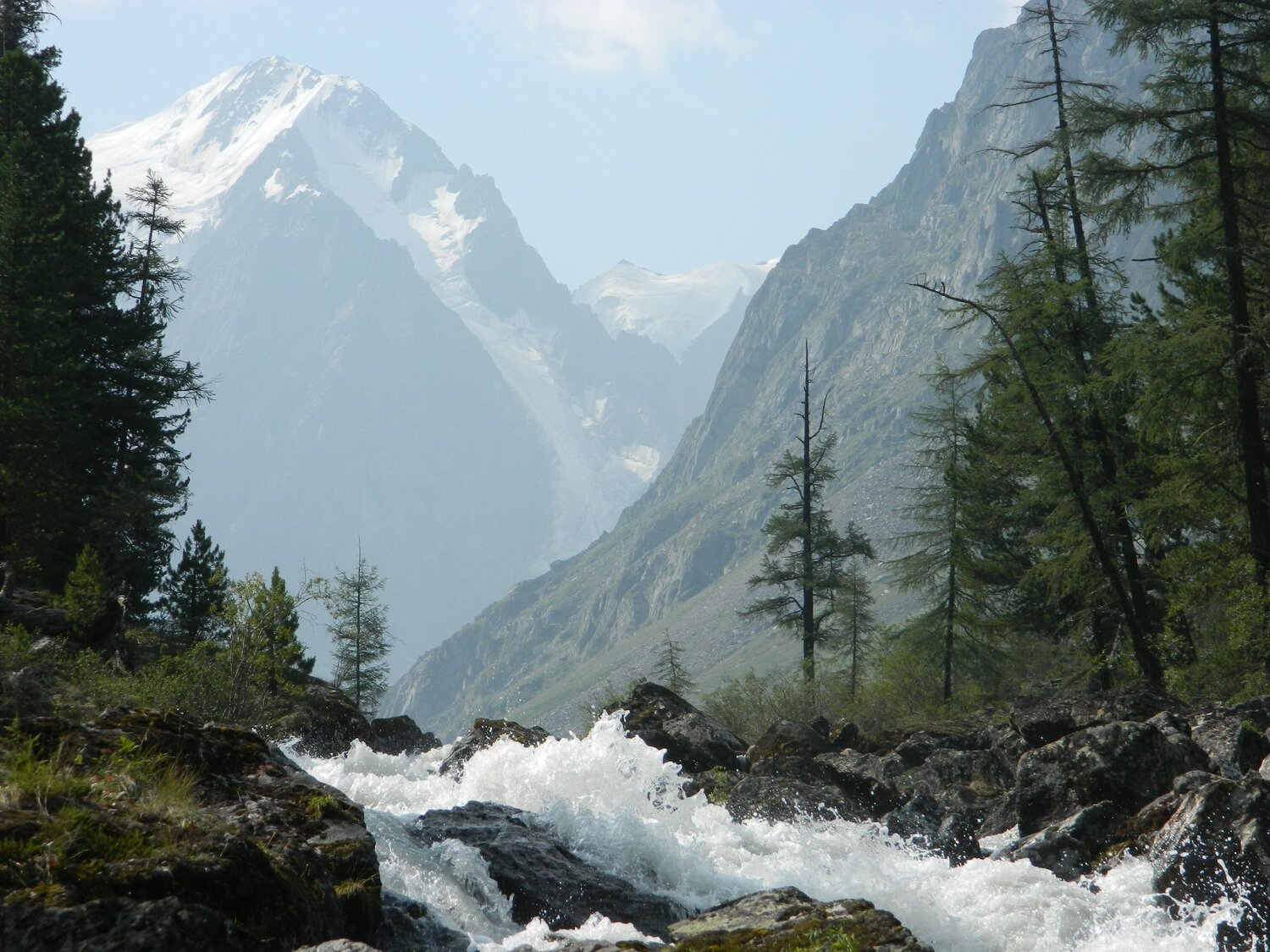 Photo #5847383