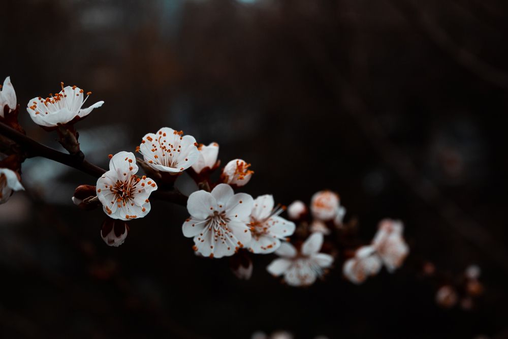 Photograph by Оксана Семенова