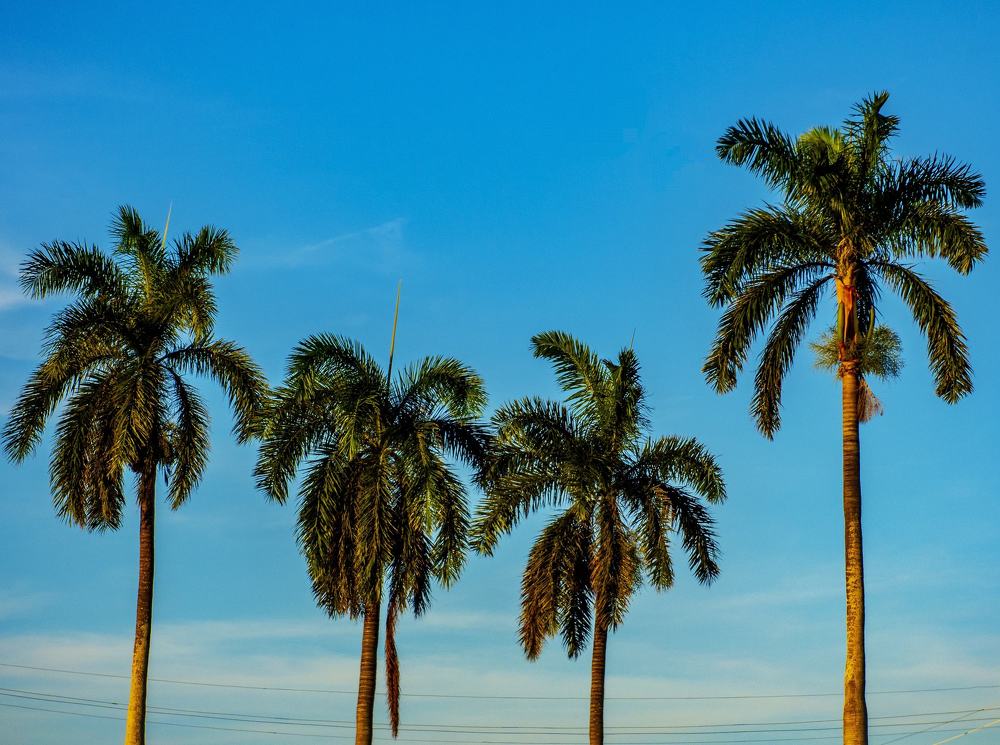 Photograph by Omar Julio Valenzuela Moldes