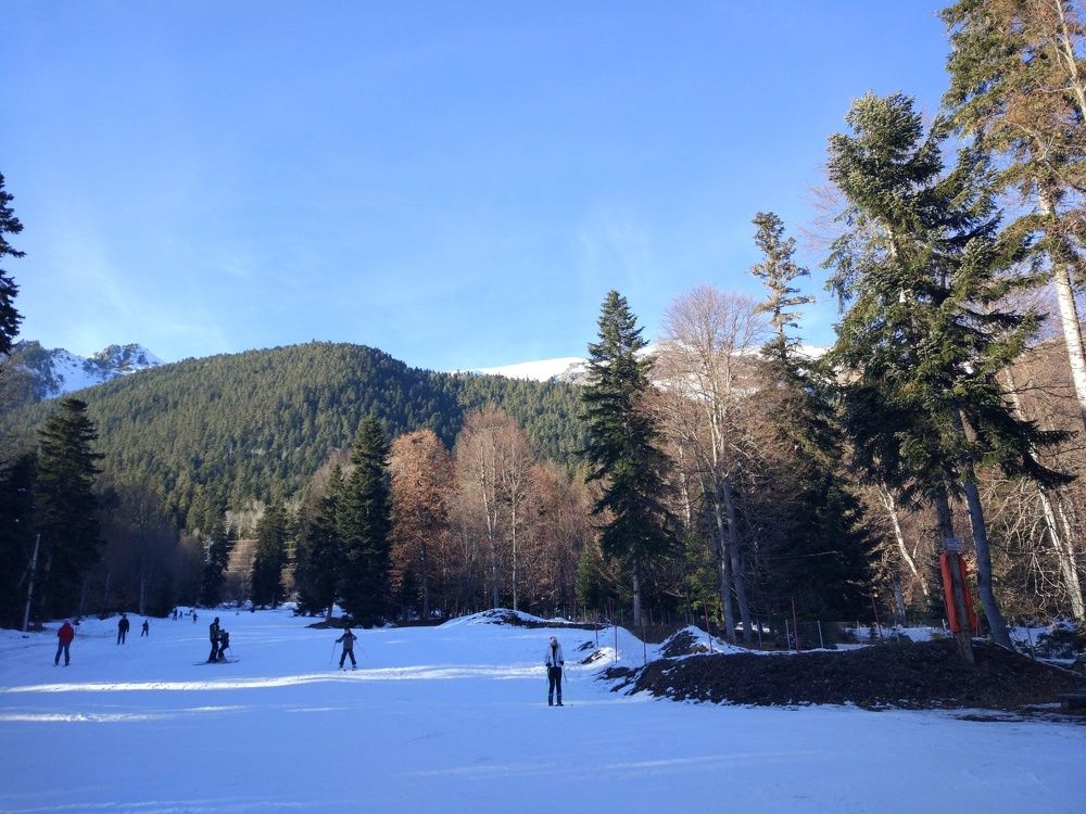 Photograph by Ольга Галушко