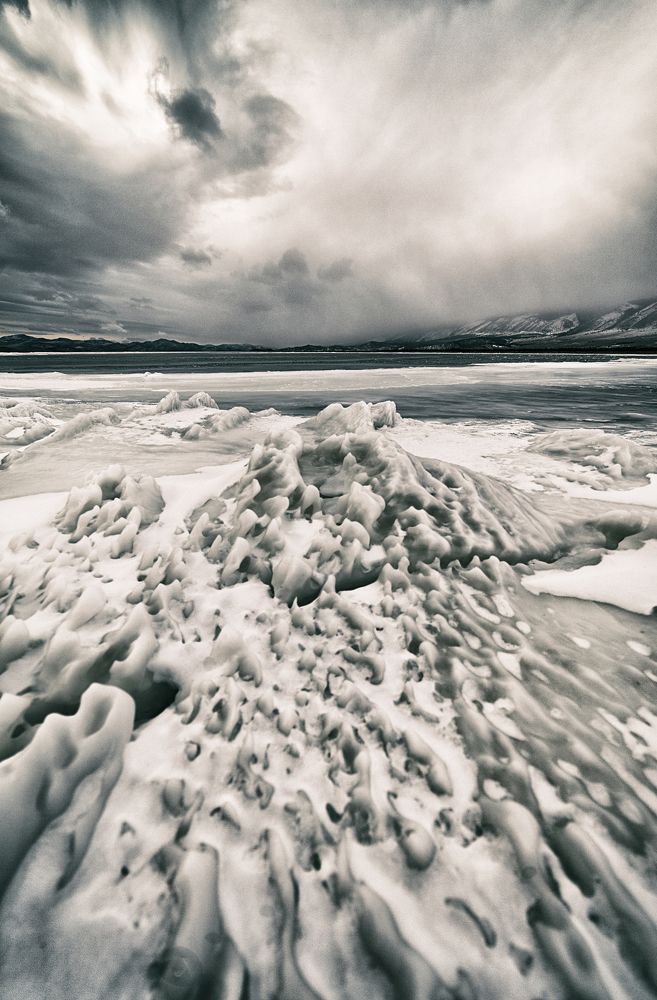Фотография автора Лариса Кисурина