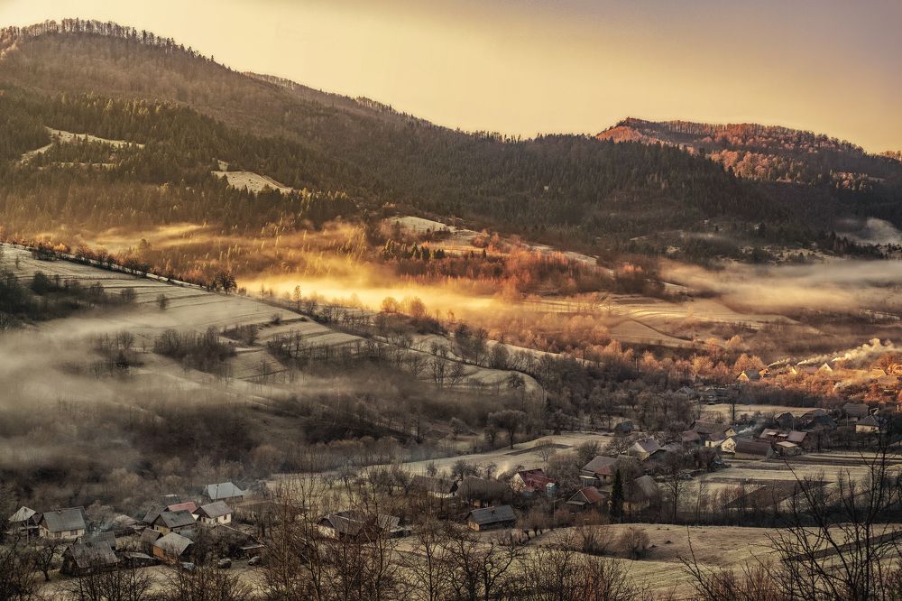 Photograph by Niko Lazur