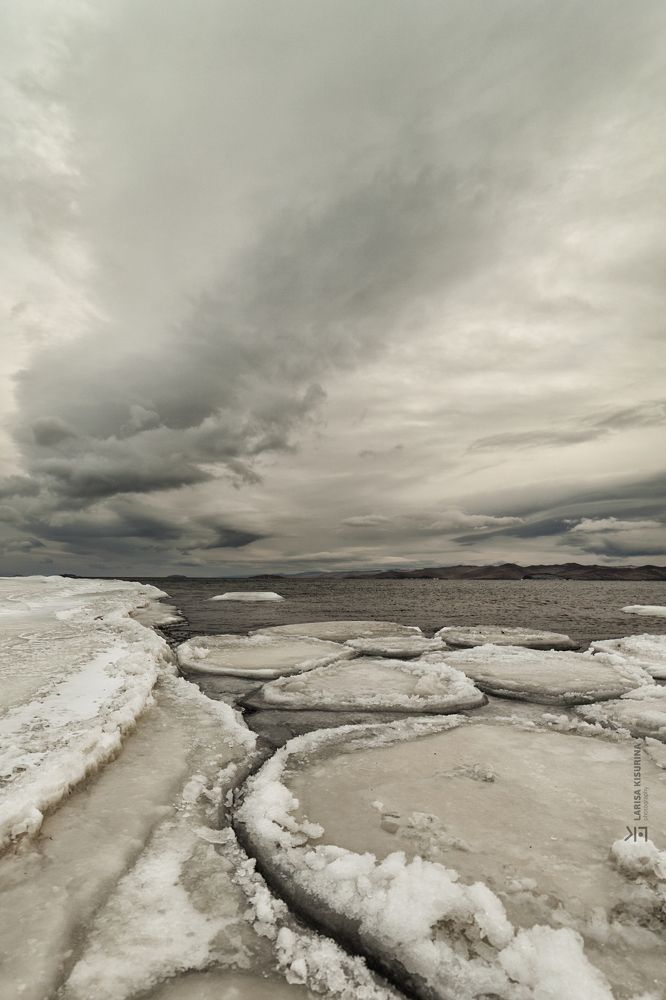 Фотография автора Лариса Кисурина