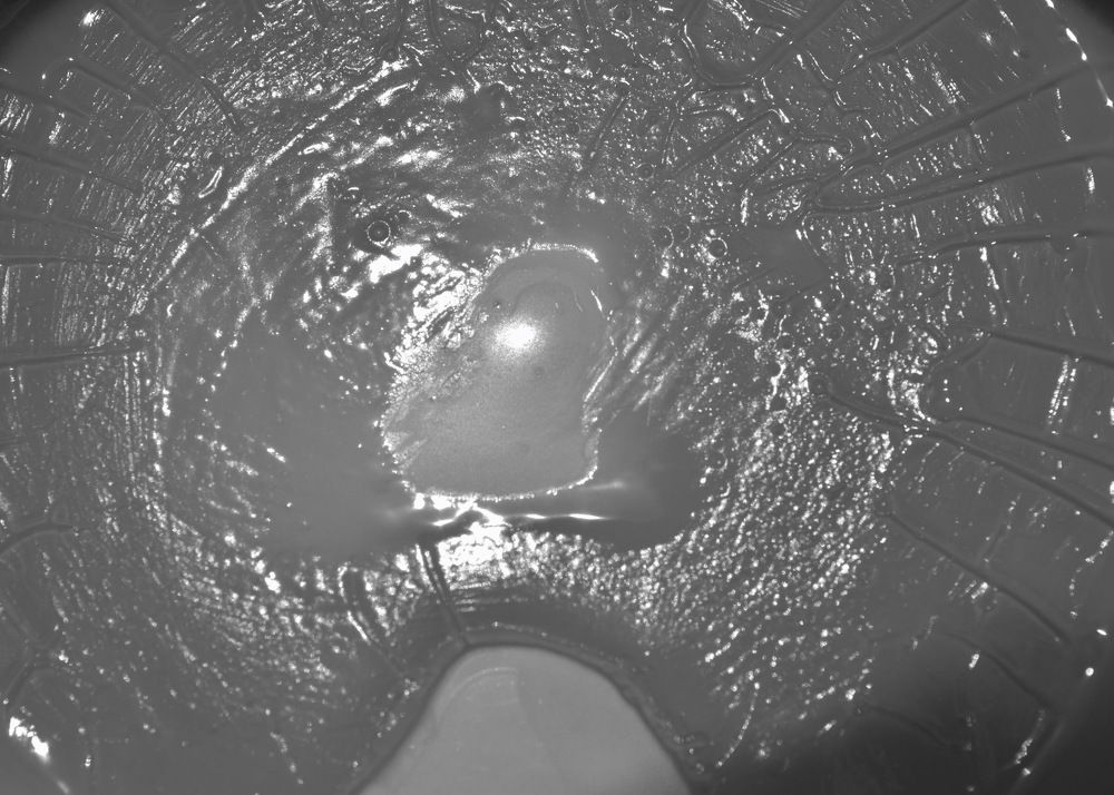 Photograph by Jozsef Cselenyi