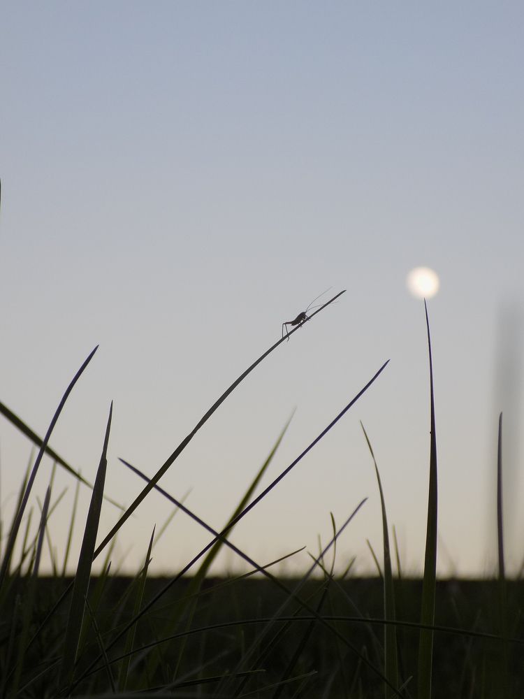 Photograph by Виктория Подрезова