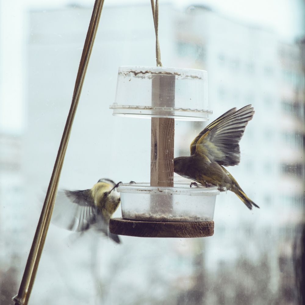 Photograph by Юлія Белая