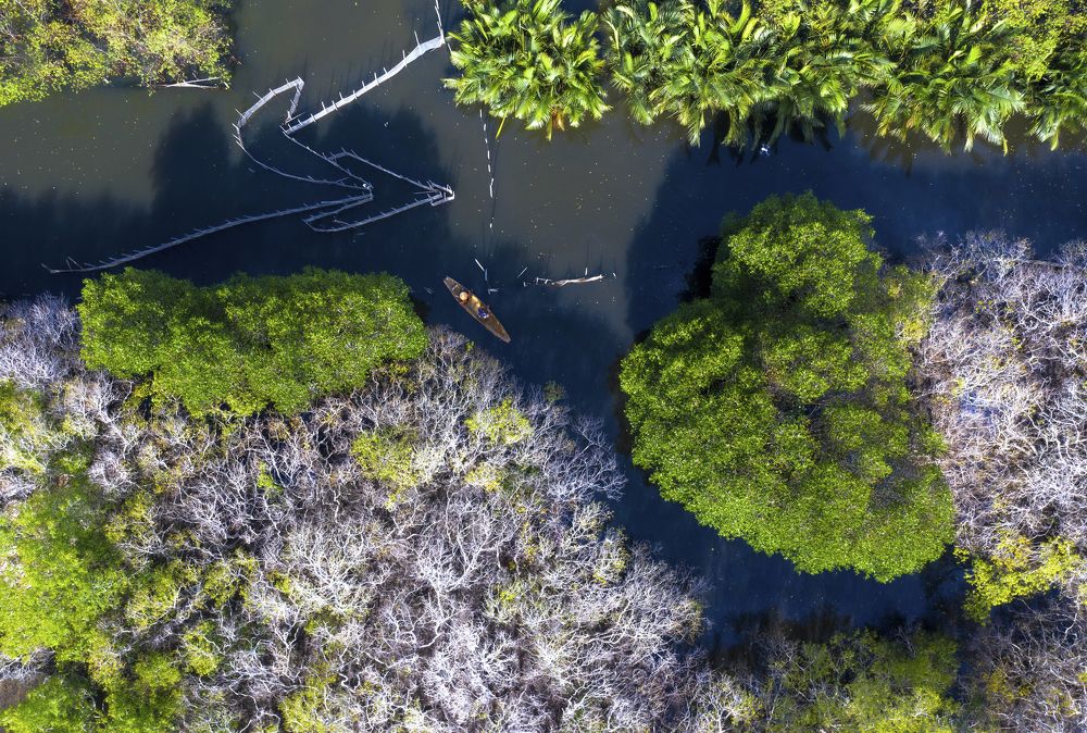 Going through the seasonal transition