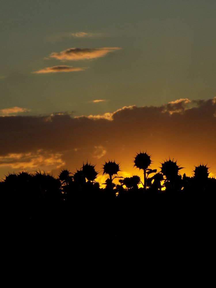 Photograph by Виктория Подрезова