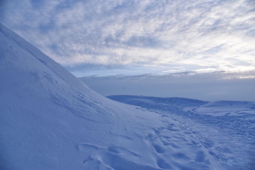 Фотография автора Коротков Алексей