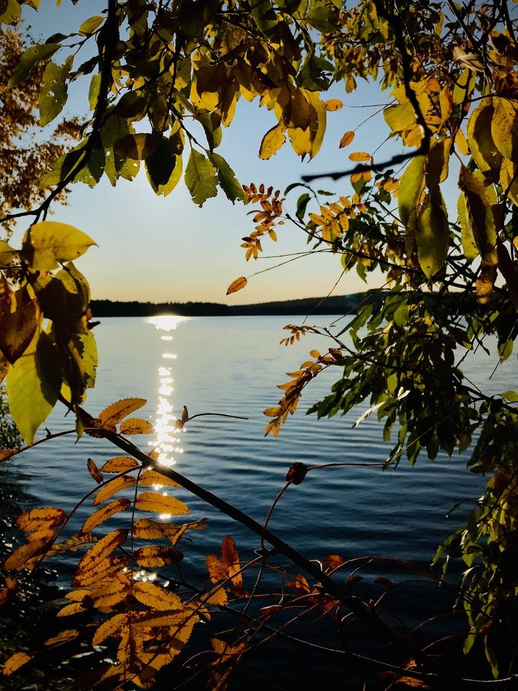 Осеннее окно