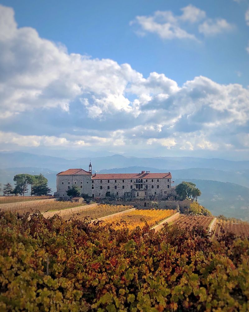 Photograph by Amal Hammoud