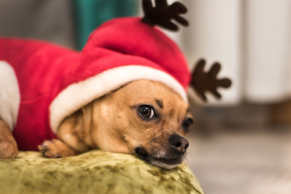 Photograph by Ольга Некрасова