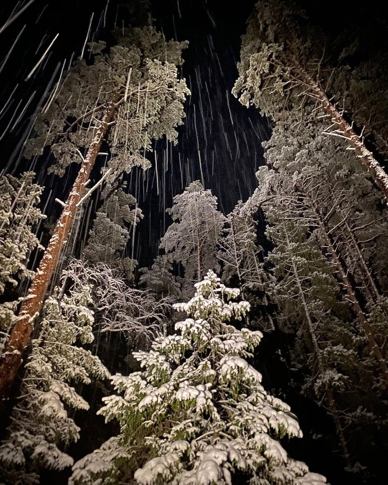 Photograph by Анатолий Андреев