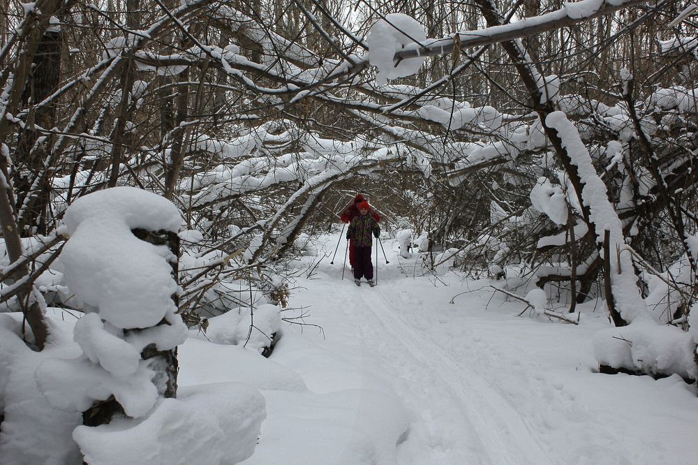 Photograph by Владимир Носов
