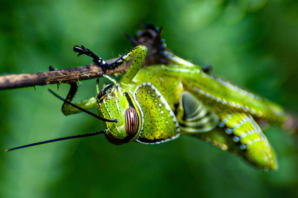 Photograph by Msoares Araujo