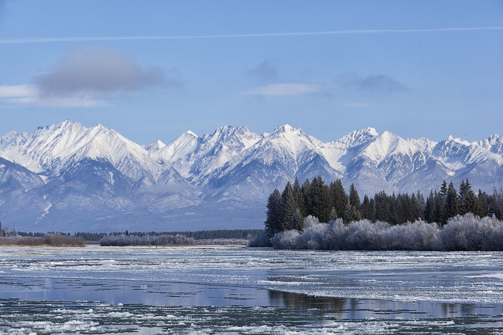 Фотография автора Лариса Кисурина