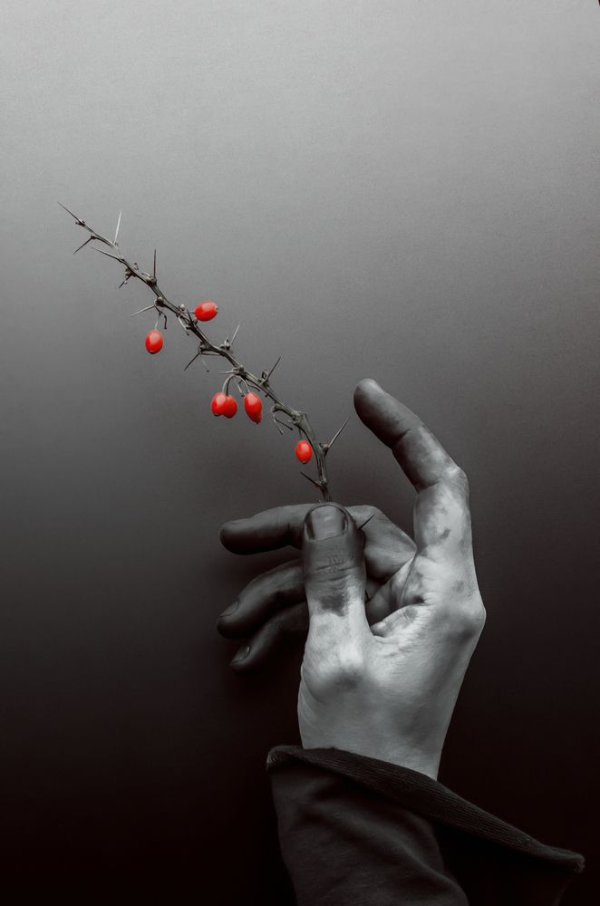 Photograph by Мария Никольская