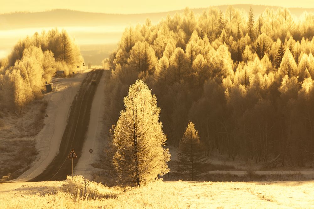 Фотография автора Лариса Кисурина