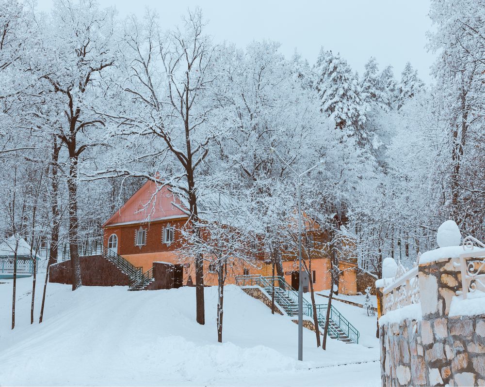 Photograph by Елена Неведицына