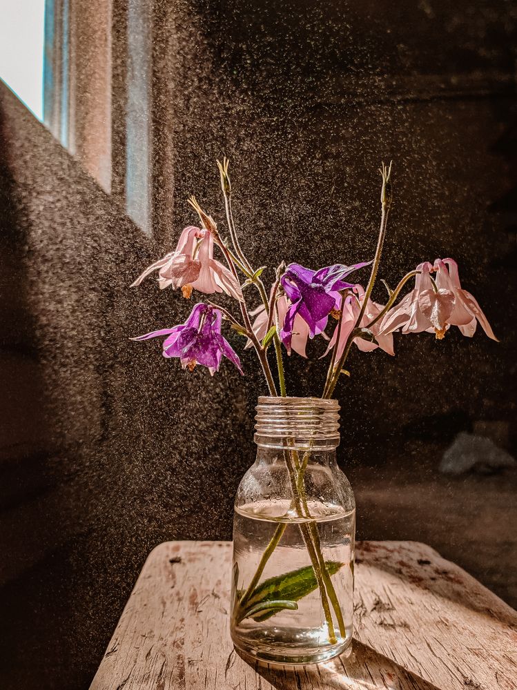 Photograph by Кирилл Черневский