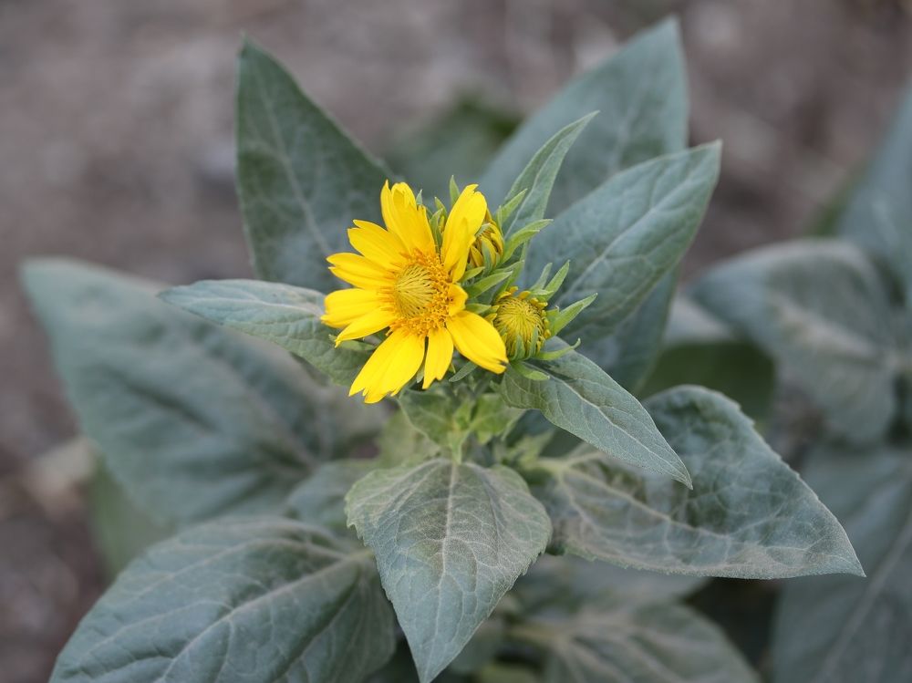 Photograph by Александр Николаев