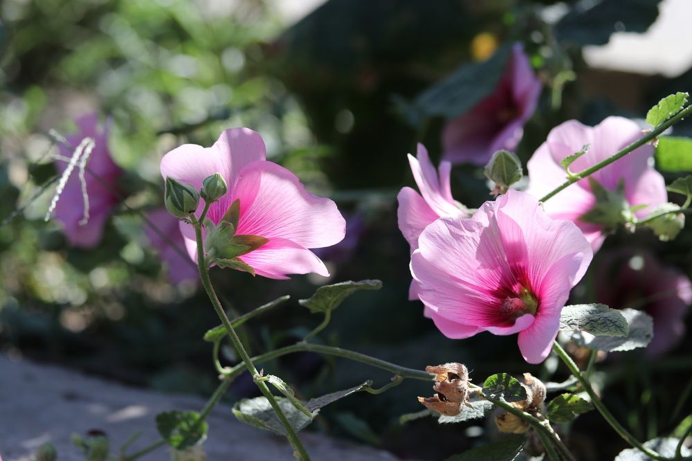 Photograph by Александр Николаев