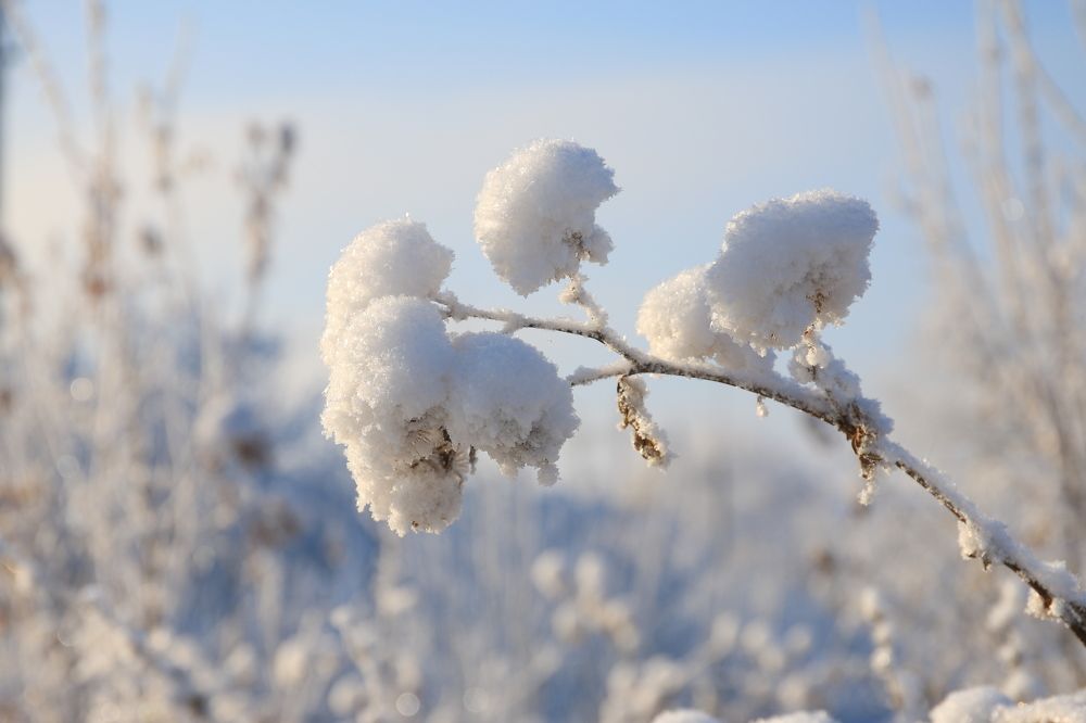 Photograph by Елена Неведицына