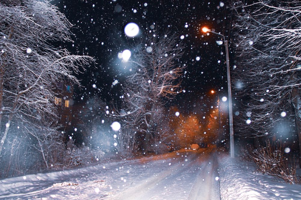 Photograph by Элина Васькова