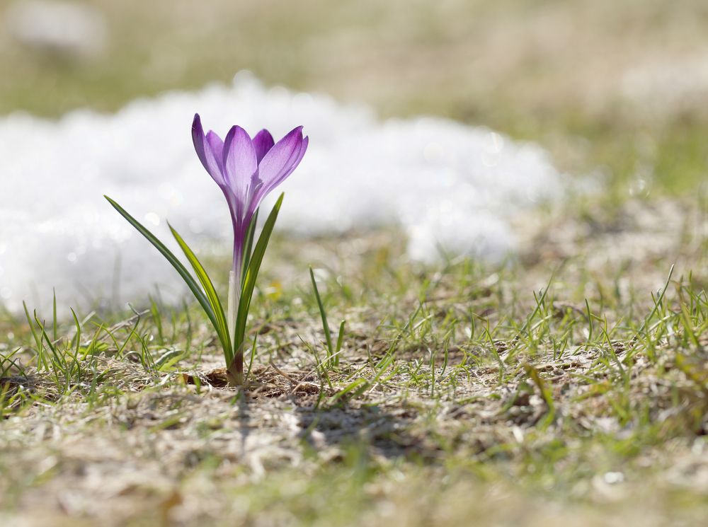 Весна пришла!