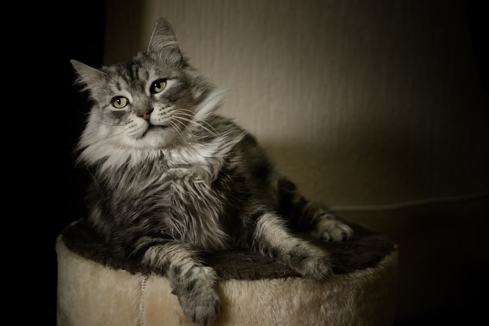 Photograph by Александр Якубовский