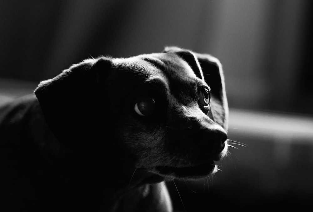 Photograph by Кристина Чижмар