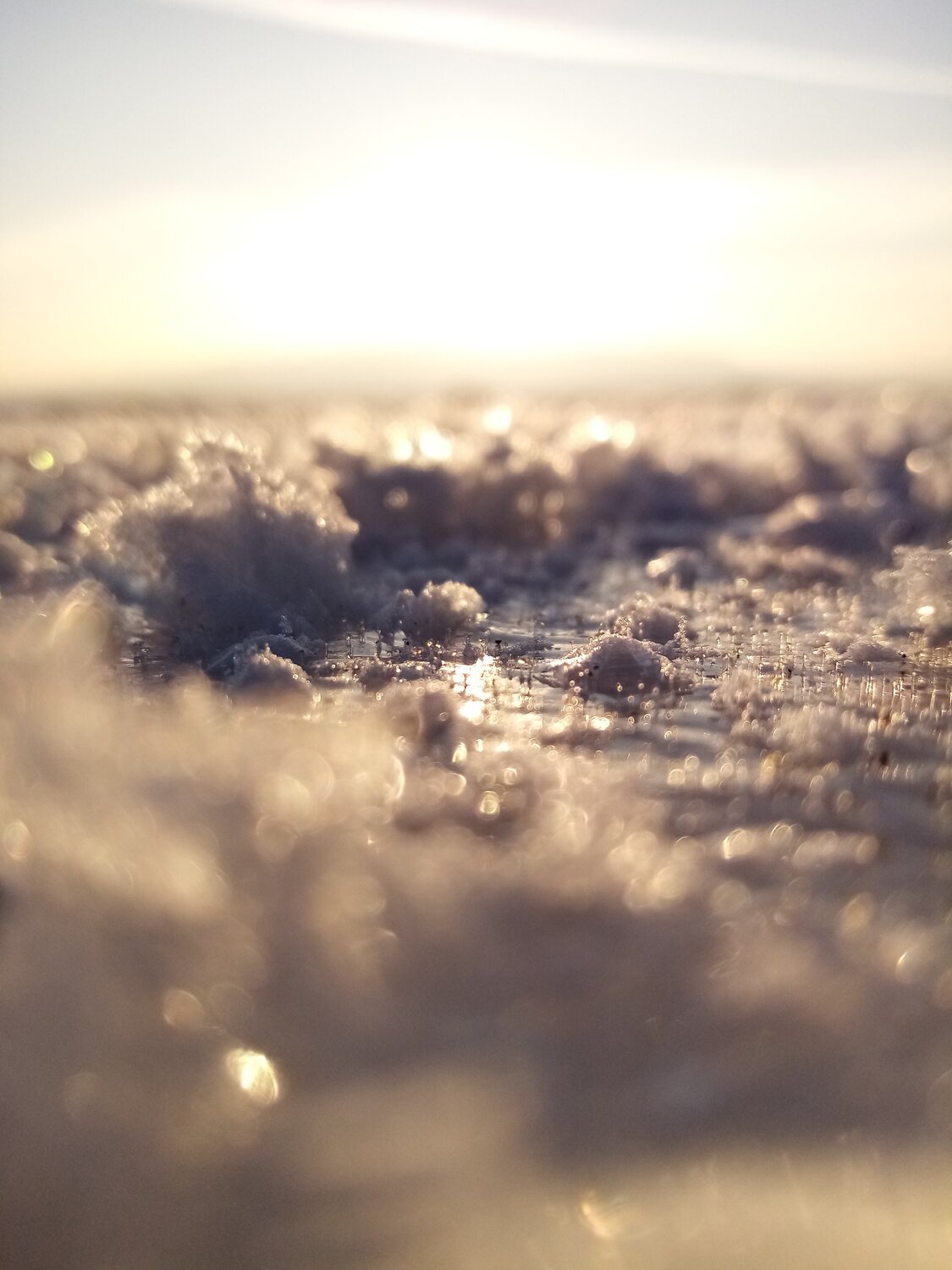 Photo #5848044
