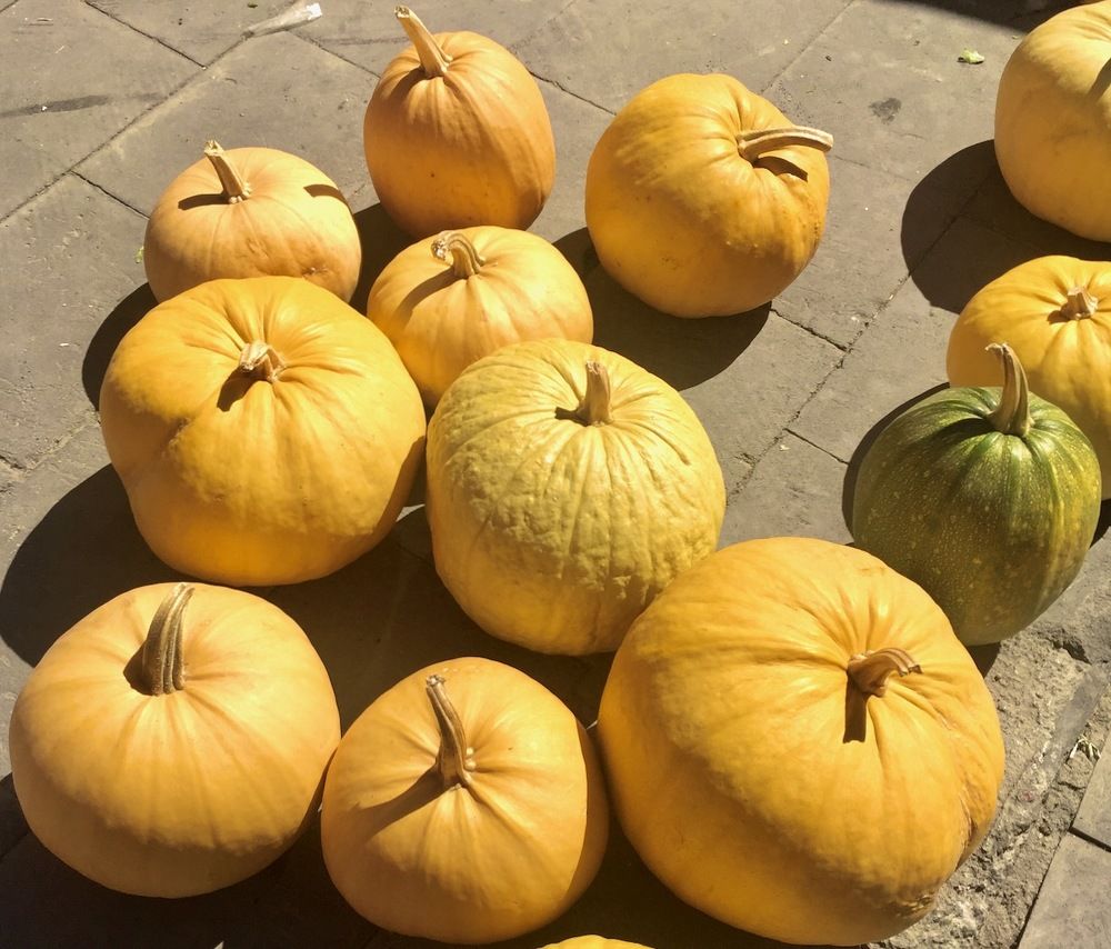 Photograph by Ahmet Aka