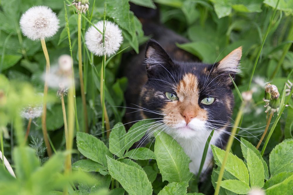 Photograph by Лапенкова Ольга