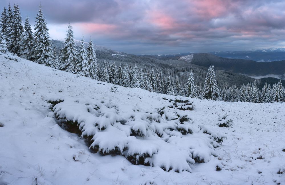 после снегопада ..