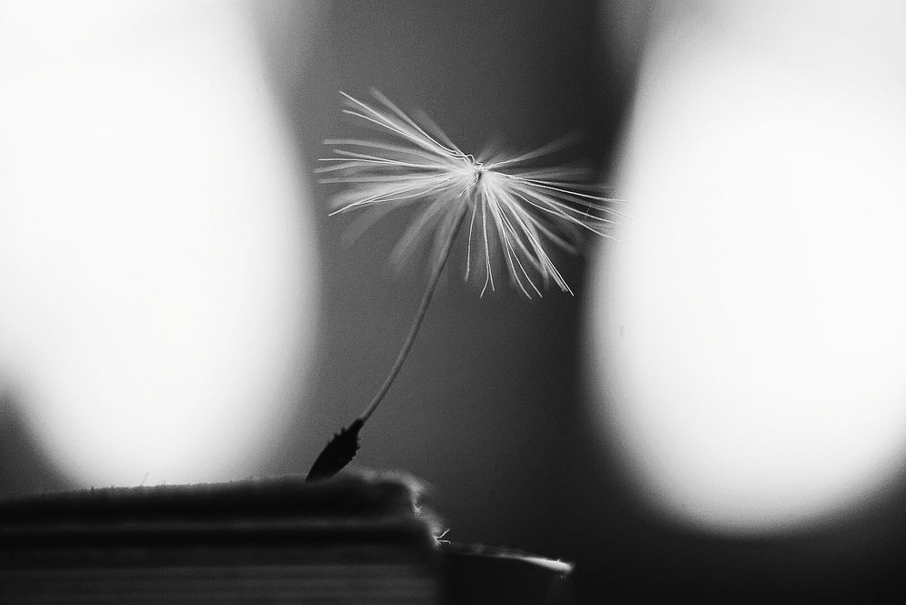 Photograph by Ксения Щербакова