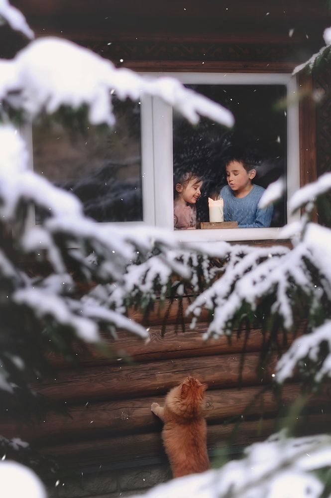 Фотография автора Яна Романова